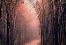 学厨师后悔死了,学厨师真的会后悔吗